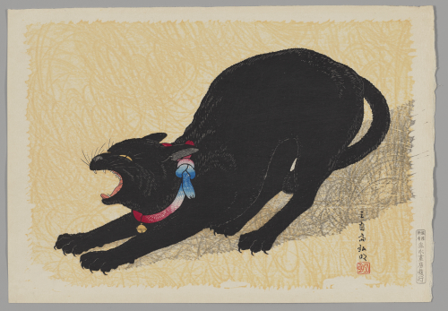 BLACK CAT 複製原画 Yahoo!オークション - ブラックキャット 複製原画 矢吹健太朗